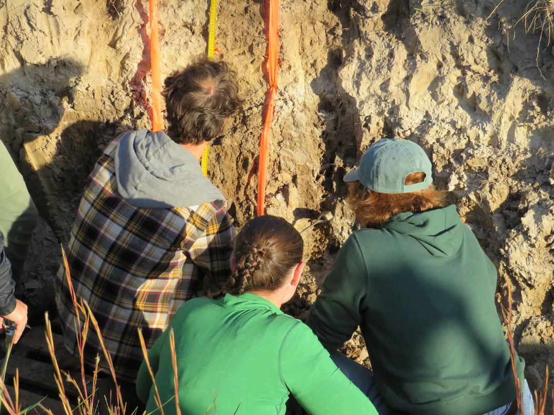 MSU Soil Judging FS24_2 copy.jpg